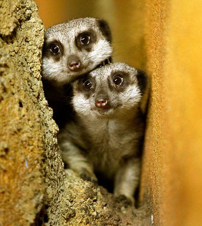 Boonshoft Museum of Discovery